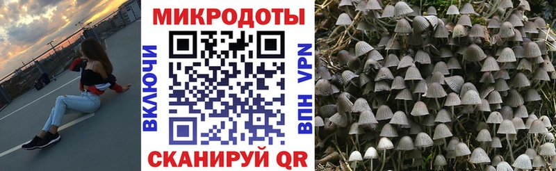 hydra ONION  Алупка  Галлюциногенные грибы GOLDEN TEACHER 